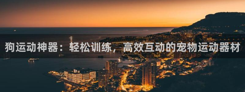 球王会体育官网下载开户：狗运动神器：轻松训练，高效互