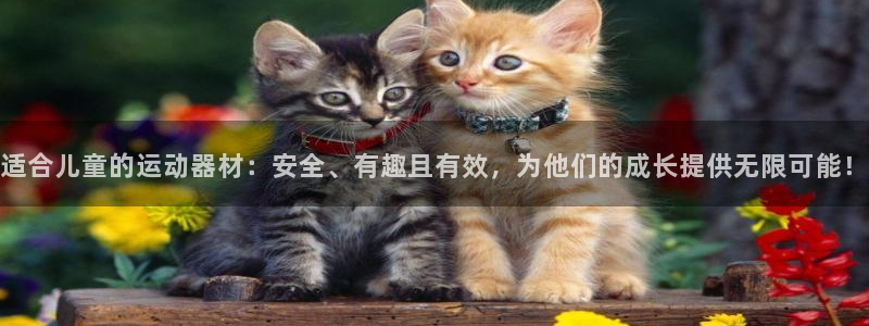 德国球王会体育官方正版app集团：适合儿童的运动器材