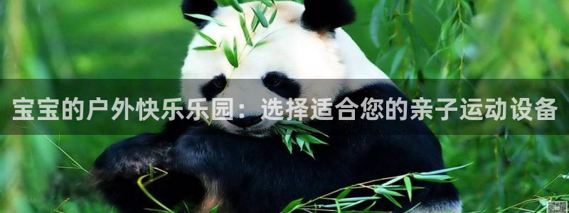 海南球王会体育官网下载发展怎么样：宝宝的户外快乐乐园：选择适