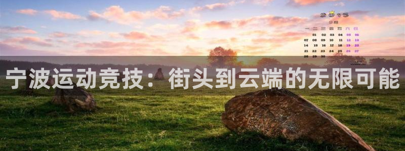 球王会体育官方正版app五金厂：宁波运动竞技：街头到云端的无
