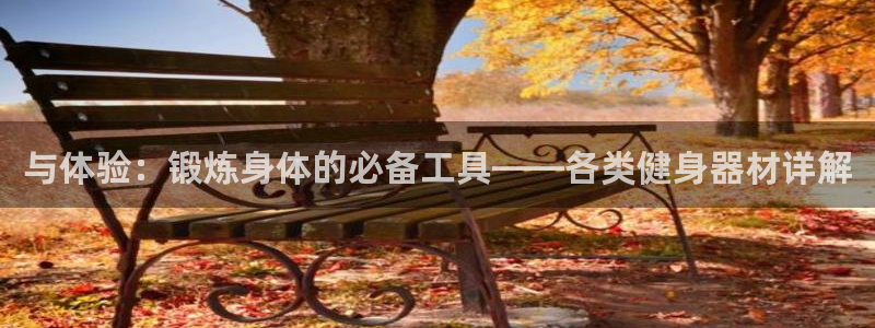 球王会官方平台体育：与体验：锻炼身体的必备工具——各类健身器