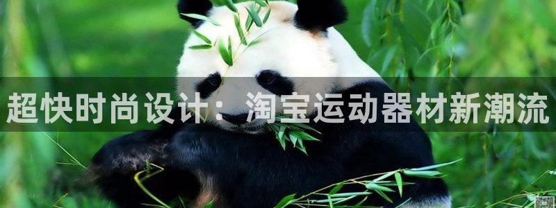 球王会体育官方正版app五金厂：超快时尚设计：淘宝运动器材新