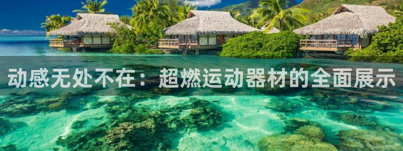 球王会体育官网下载平台注册：动感无处不在：超燃运动器材的全面