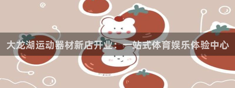 球王会体育官网下载平台注册流程视频：大龙湖运动器材新
