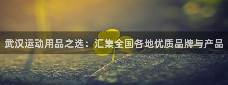 球王会体育官方正版app集团：武汉运动用品之选：汇集全国各地
