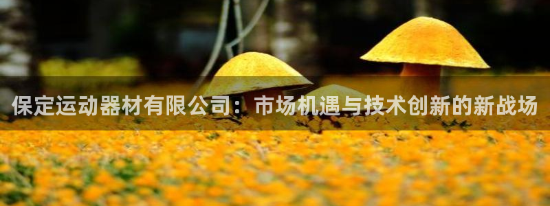 球王会体育官网下载