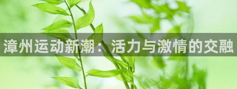 球王会体育官方正版app集团简介