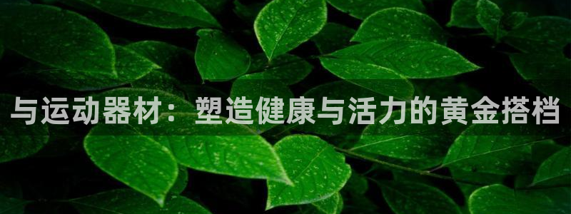 球王会体育官网下载招商电话是多少号码：与运动器材：塑